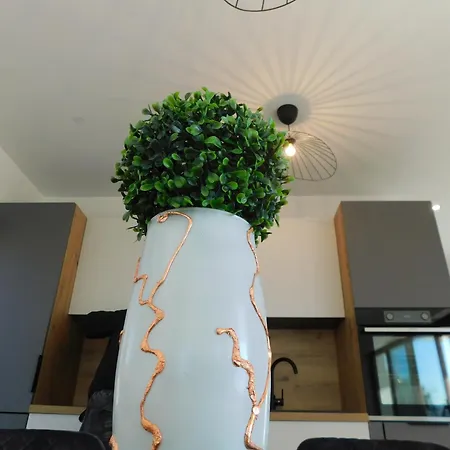 Nova With Pool * Sveti Peter