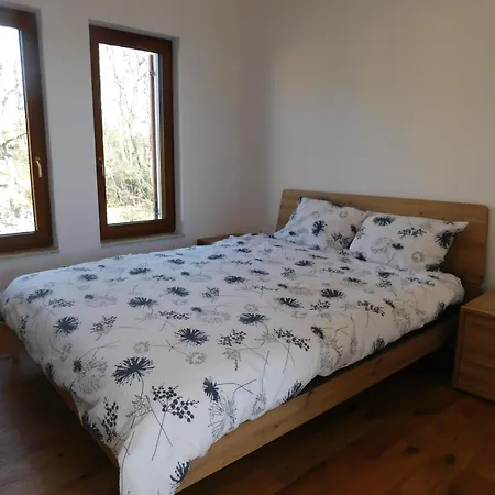 Počitniška hiša Nova With Pool Sveti Peter