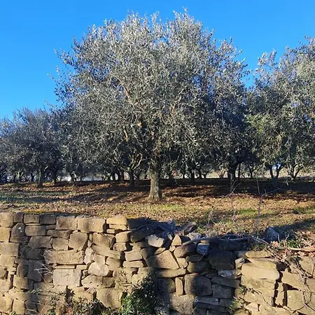 Počitniška hiša Nova With Pool *